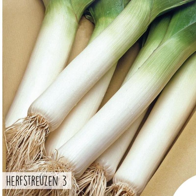 Purre Herfstreuzen 3 -Frø-