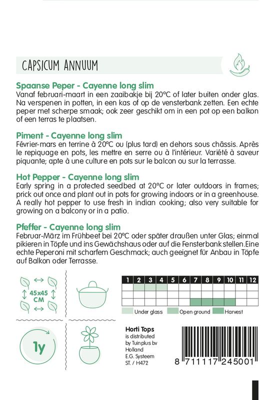 Chili Cayenne -Frø-