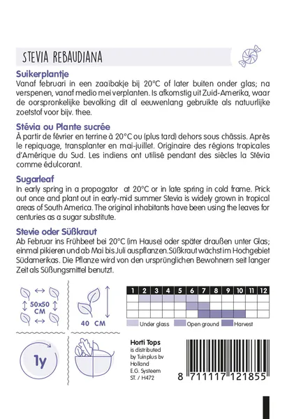 Hovedbilde Stevia -frø-