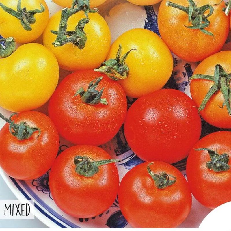 Tomat Mix -Frø-
