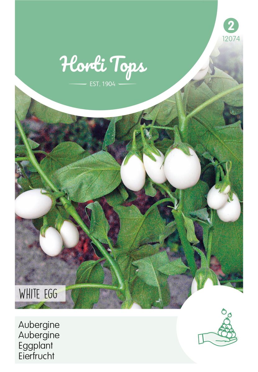 Aubergine White Eggs -Frø-