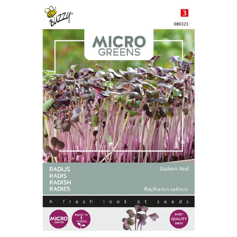Micro Greens, Reddik -Frø-