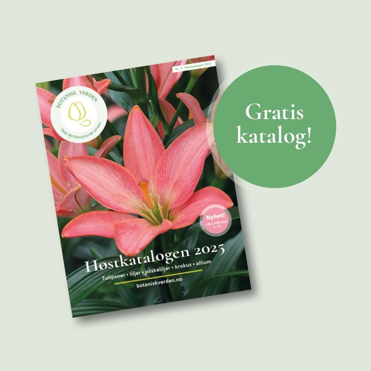 Bestill katalogen med blomsterløk 2025