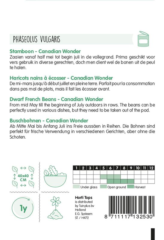 Kidneybønne Canadian Wonder -Frø-