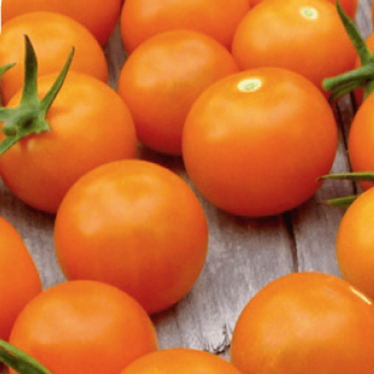 Tomat, cherrytomat Sungold F1 -Frø-