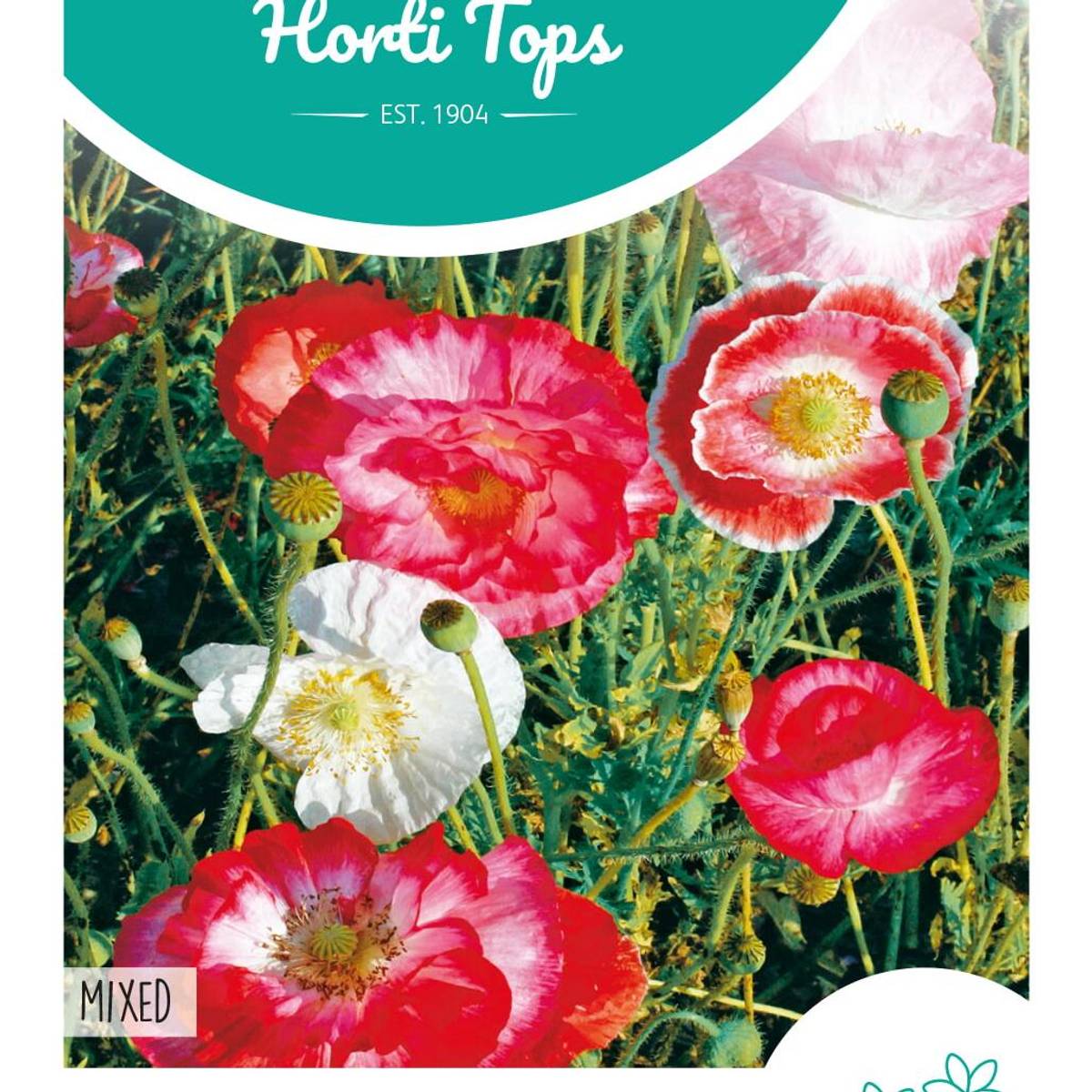 Papaver rhoeas Shirley Mix -Frø- Valmue