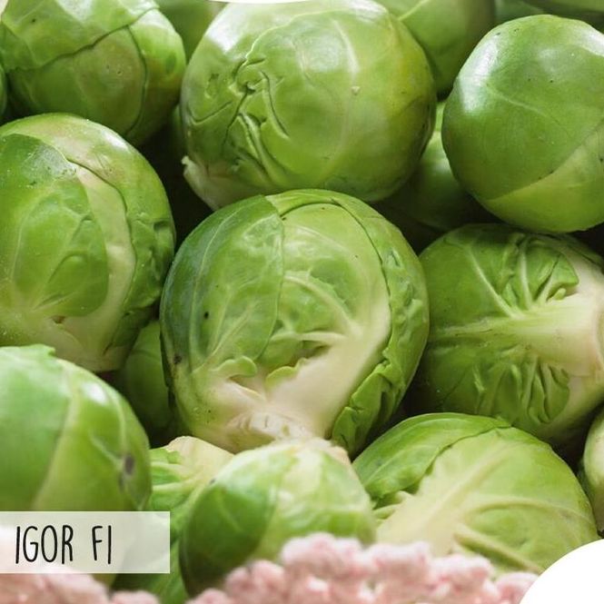 Hovedbilde Rosenkål Igor F1 Hybrid -Frø-