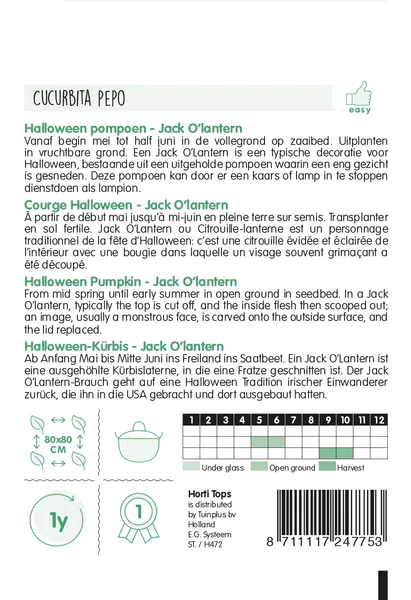 Hovedbilde Gresskar Jack 'O Lantern -Frø-