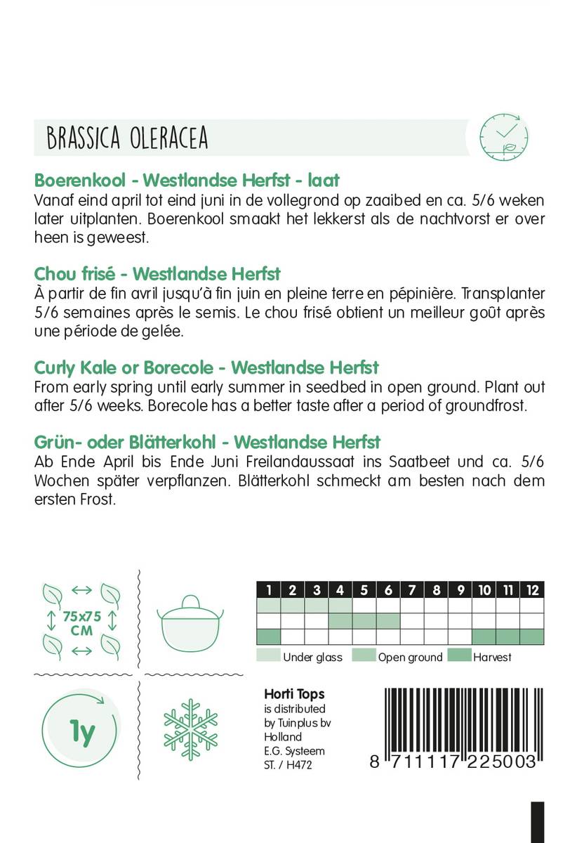 Grønnkål Westland Autumn -Frø-