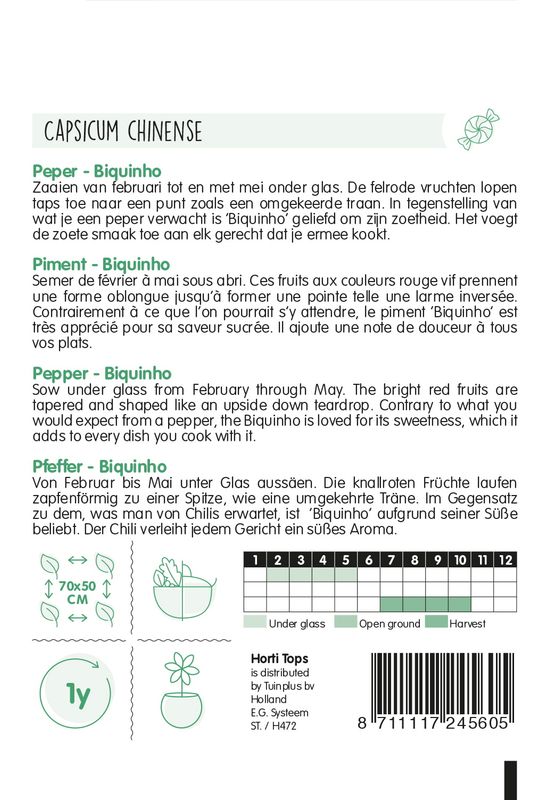 Chili Biquinho -Frø-