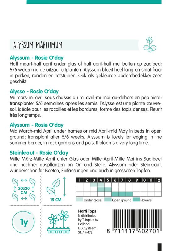 Alyssum Rosie ODay -Frø- Dodre