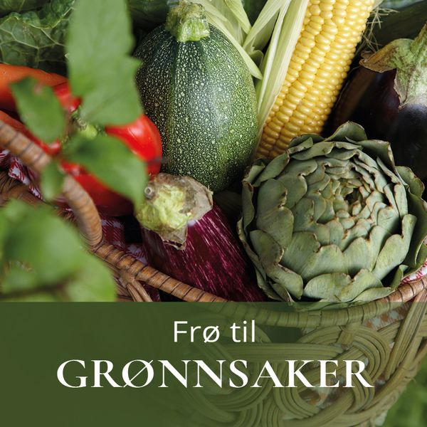 Frø til grønnsaker