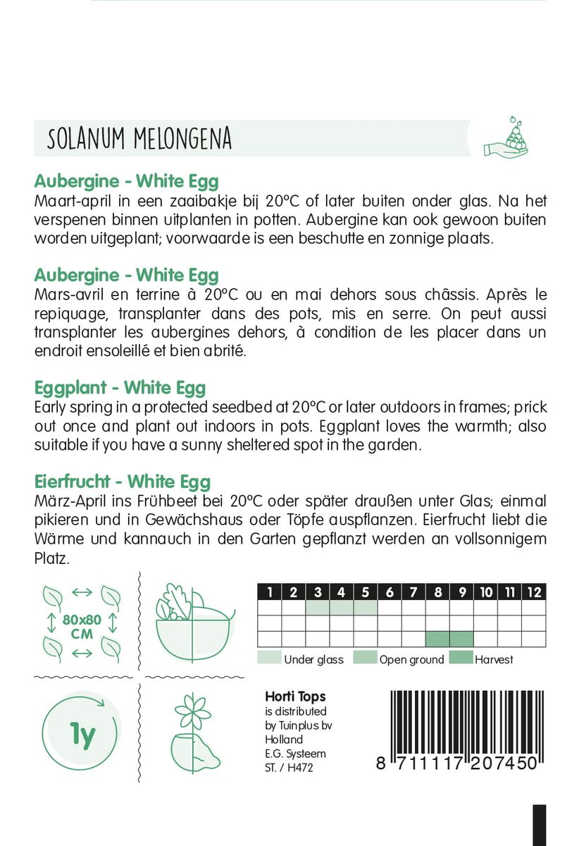 Aubergine White Eggs -Frø-